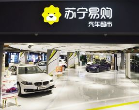 天能集團與蘇寧達成合作 將設電動車服務站